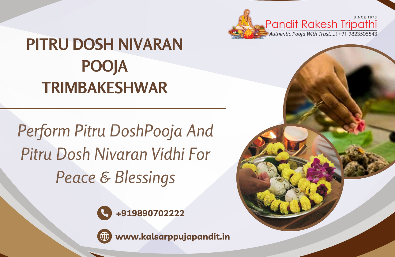 Pitru Dosh Nivaran Pooja Trimbakeshwar Vidhi for Peace & Blessings