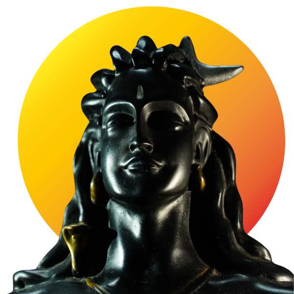 Festival Puja Services